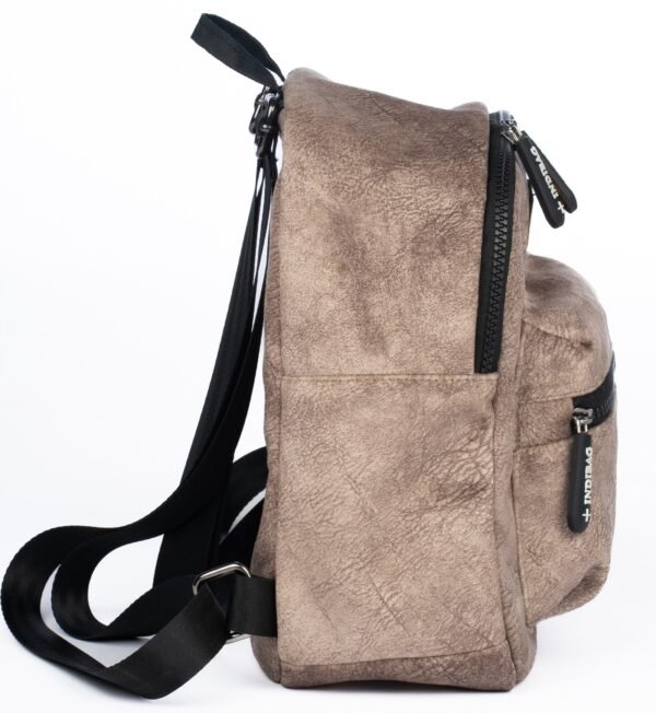 DSC05732 Indibag Casual Backpack