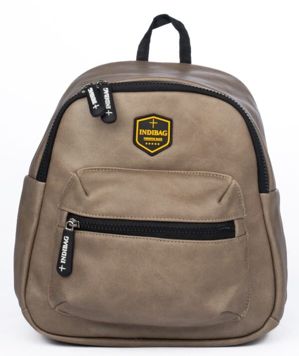DSC05836 Indibag Casual Backpack