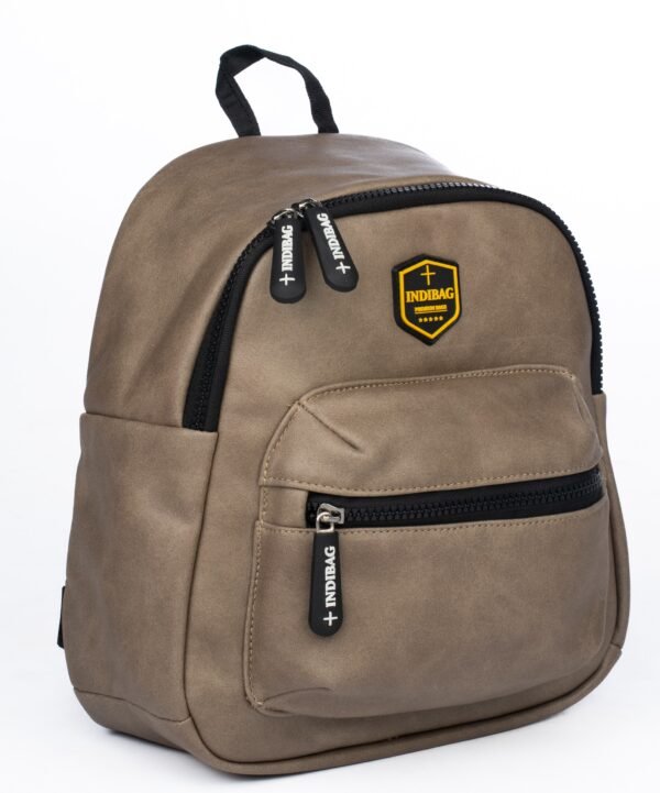 DSC05837 Indibag Casual Backpack