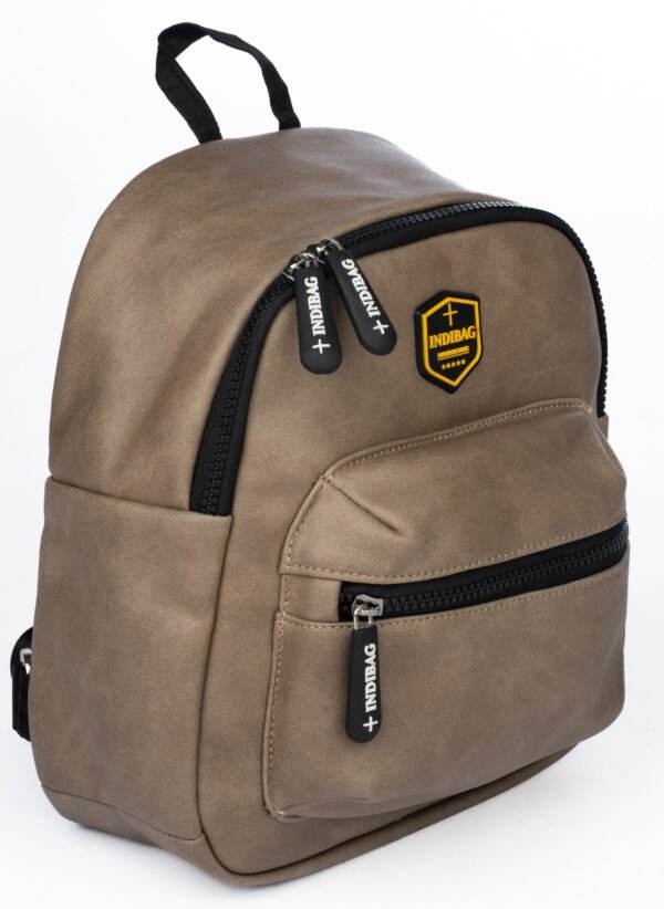 DSC05841 Indibag Casual Backpack